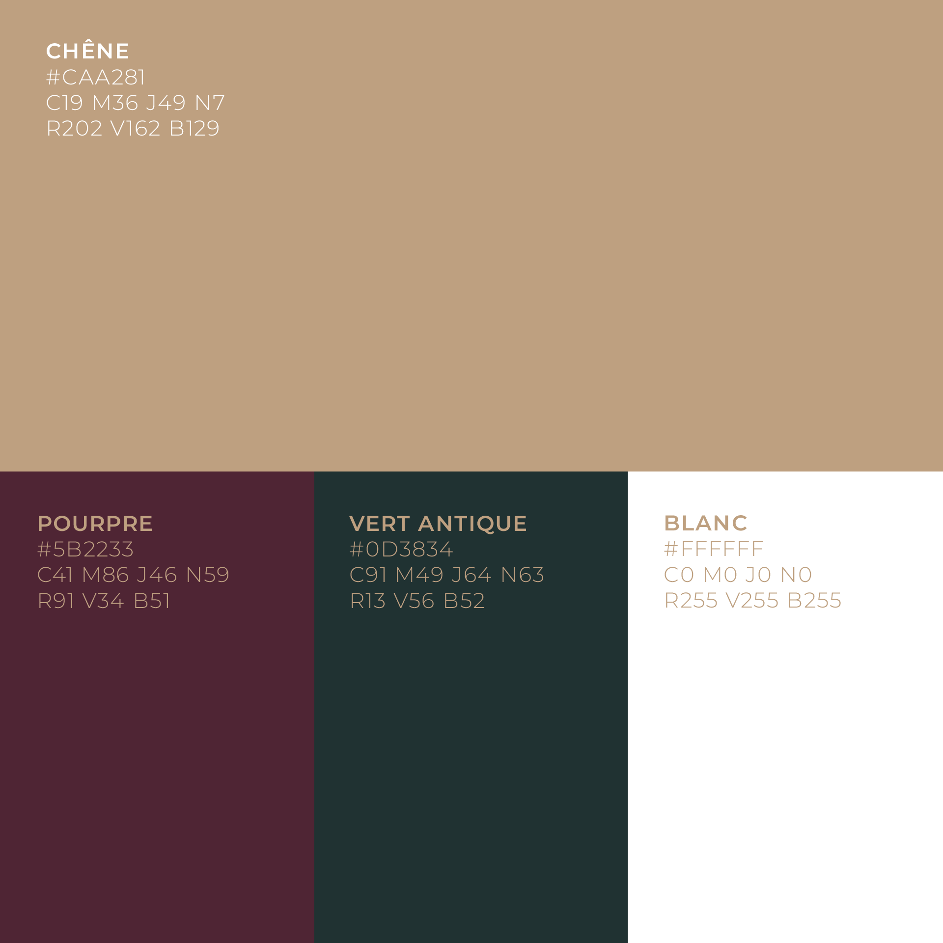 Bacchus Hospitality - Identité visuelle - Anne-Sophie Massip - www.an-so.fr