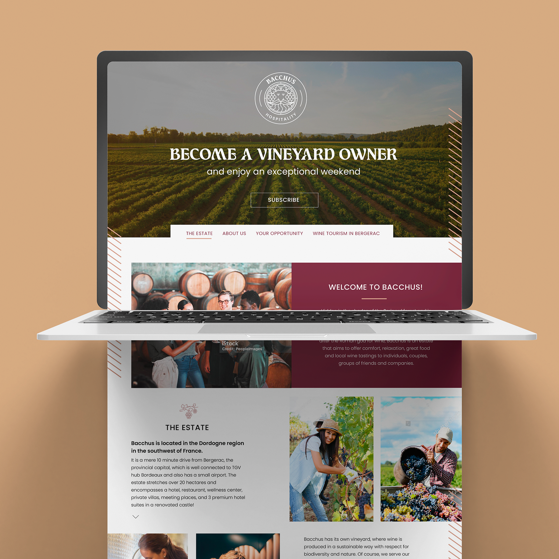 bacchus 09Bacchus Hospitality - Identité visuelle - Anne-Sophie Massip - www.an-so.fr