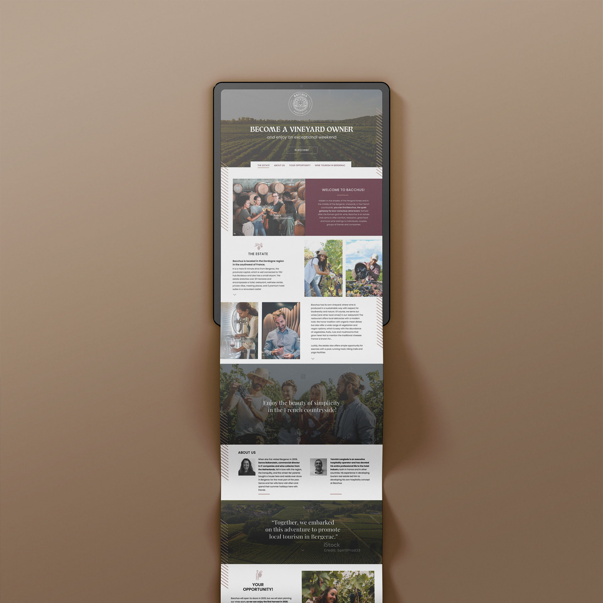 Bacchus Hospitality - Identité visuelle - Anne-Sophie Massip - www.an-so.fr