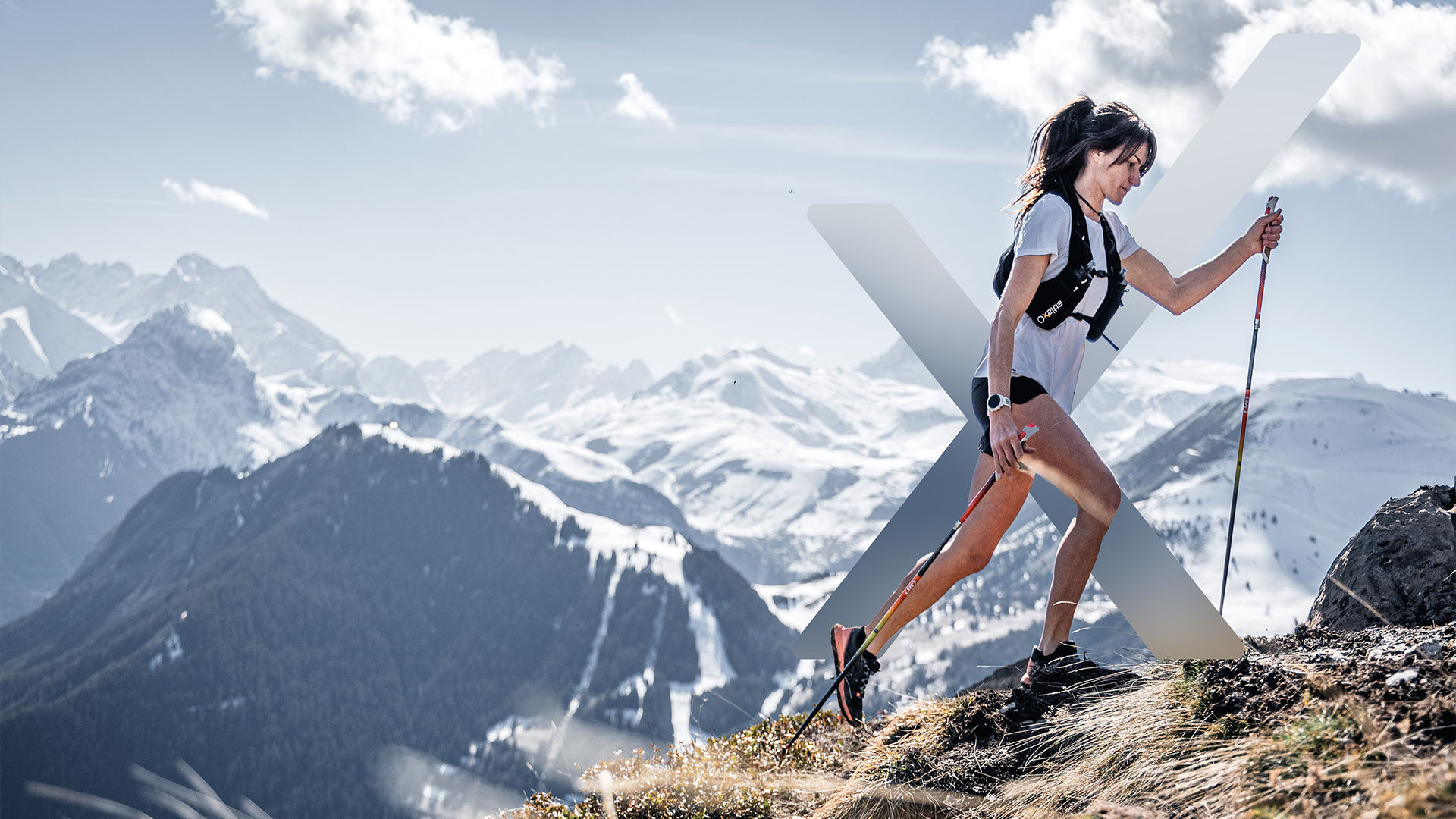 Catalogue Oxsitis - Anne-Sophie Massip - www.an-so.fr