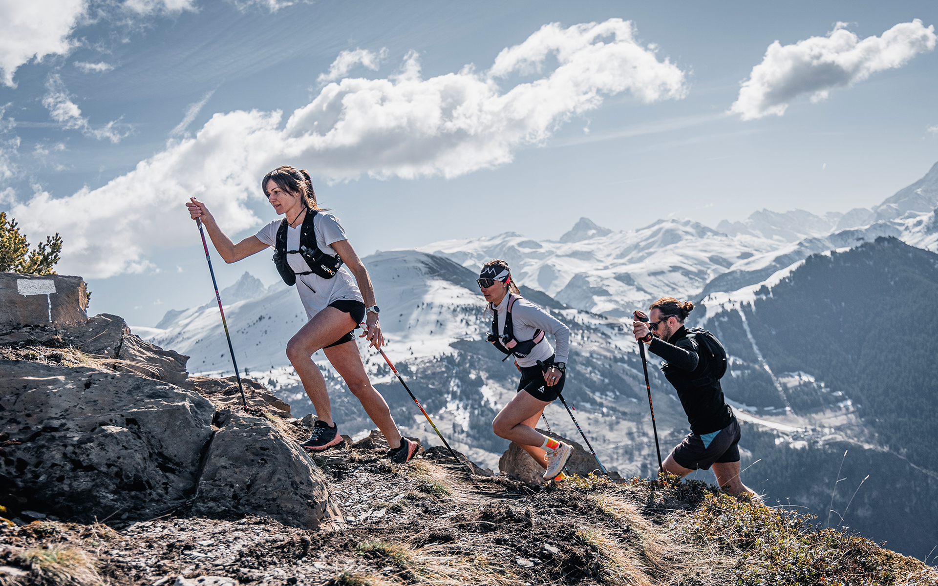 Catalogue Oxsitis - Anne-Sophie Massip - www.an-so.fr